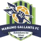 Marumo Gallants Reserves U23
