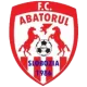CF Abatorul Slobozia