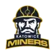 Miners Katowice
