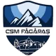 CSM Făgăraș