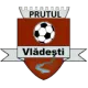 Prutul Vlădești