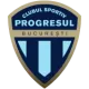 CS Progresul București 2004