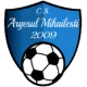 CS Argeșul 2009 Mihailești