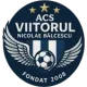 ACS Viitorul Nicolae Bălcescu