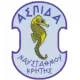 Aspida Naustahmou