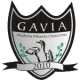 Gavia Choszczno