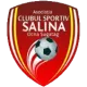 ACS Salina Ocna Șugatag