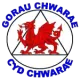 Rhos Aelwyd FC