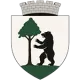 AS FC Timișul Urseni