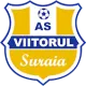 Viitorul Suraia