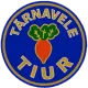ACS Târnavele Tiur