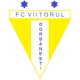 FC Viitorul Gorbănești