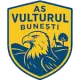 AS Vulturul Bunești