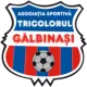 ACS Tricolorul Gălbinași