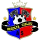 AS Recolta Cislău