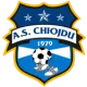 AS Chiojdu