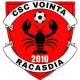 CSC Voința Răcășdia