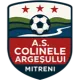 AS Colinele Argeșului Mitreni