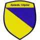 AS Zarandu Crişcior