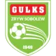 Zryw Sobolew