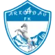 Arkadag FK