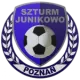 Szturm Junikowo