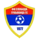 FK Sloboda GS Grabovica