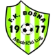 FK Bosna Modrički Lug