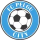 FC Pelgu City