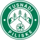 AS Piliske Tuşnad Sat