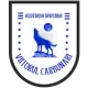 CSC Viitorul Cărbunari