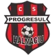 CS Progresul Hălmagiu