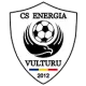 Energia Vulturu 2012