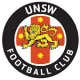 University NSW