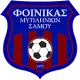 AES Foinikas Mitilinion
