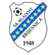 NK Mladost Velika Brijesnica