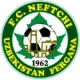 Fergana University