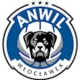 Anwil Włocławek