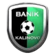 TJ Baník Kalinovo