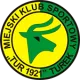 MGKS Tur 1921 Turek