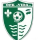 OFK Vida