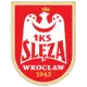 Ślęza Wrocław