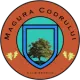 CS Măgura Codrului