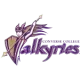 Converse Valkyries