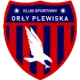 Orły Plewiska