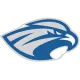 Albertus Magnus Falcons