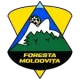 ACS Foresta Moldovița