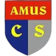 Amusi College