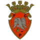 FC Penafiel