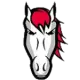 Leicester Riders